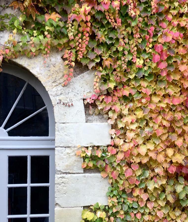 Bed and Breakfast Le Gaimont Vouvray Esterno foto